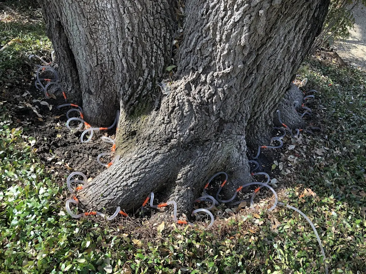 Detailed Shrub and Hedge Trimming job site in Isle